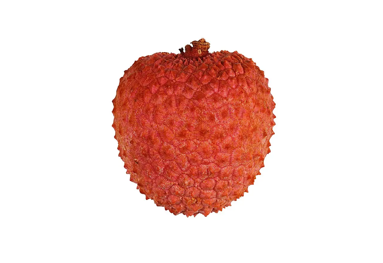 Litchis frais Tamatave – précommande saison 2026