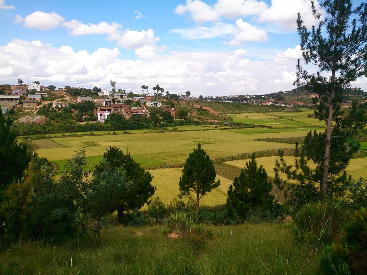 Terrain titré 1200 m² Ambohidratrimo