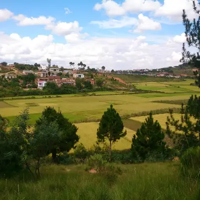 Terrain titré 1200 m² Ambohidratrimo